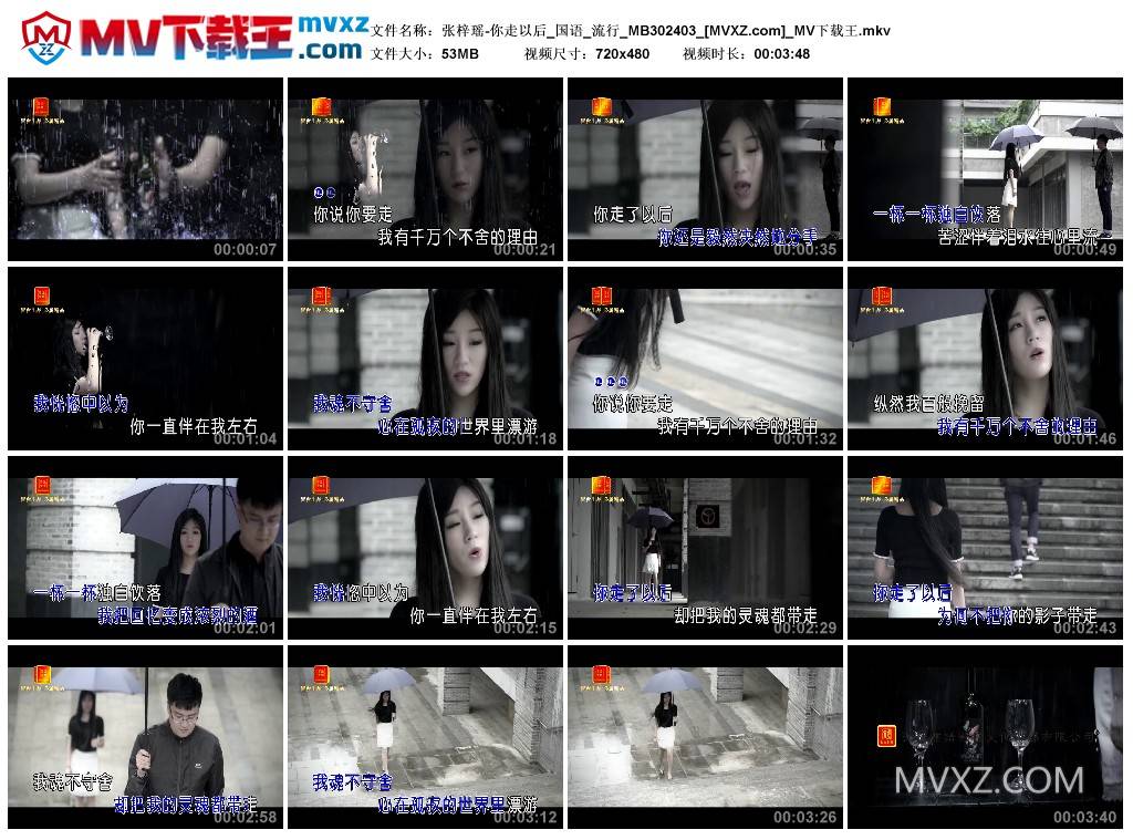 张梓瑶-你走以后_国语_流行_MB302403